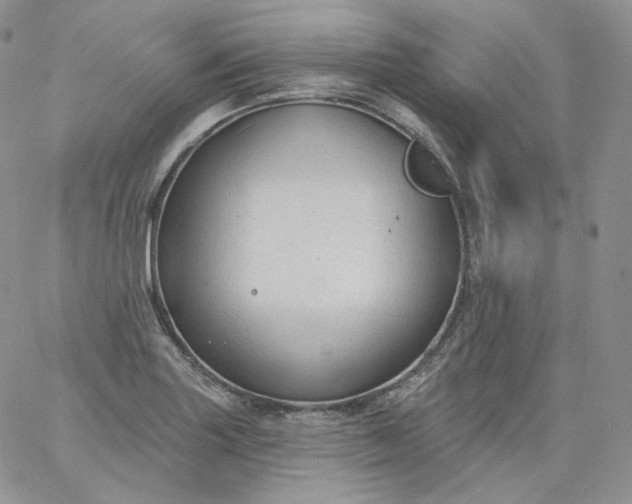 X0000060811227200511241927