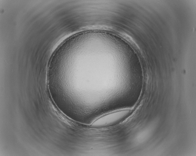 X0000060811228200511241927