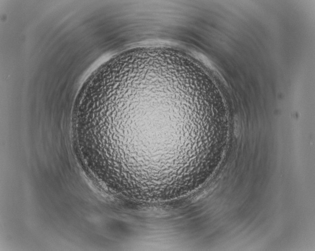 X0000060811229200511241927