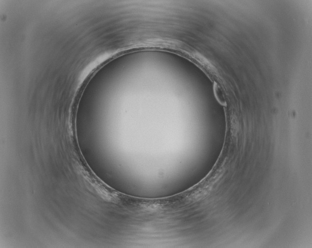 X0000060811230200511241927