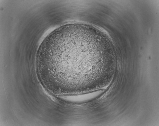 X0000060811231200511241927