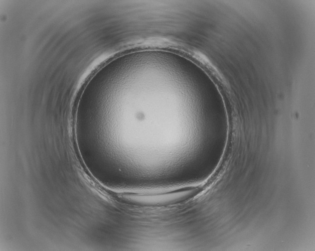 X0000060811232200511241927