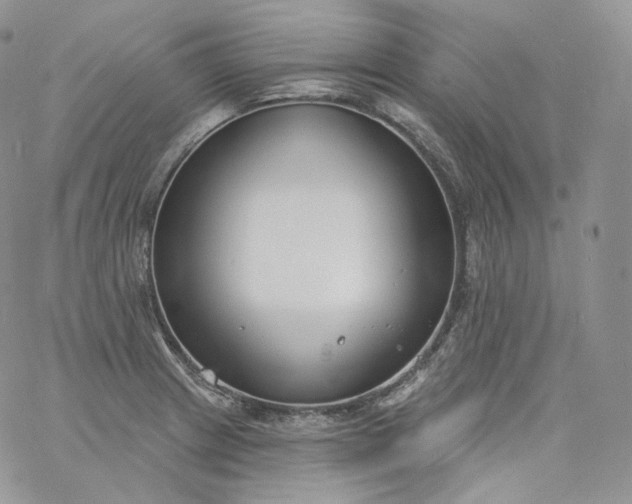 X0000060811233200511241927