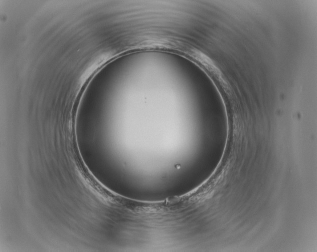 X0000060811234200511241927