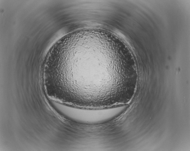 X0000060811235200511241927