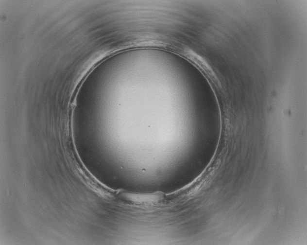 X0000060811236200511241927