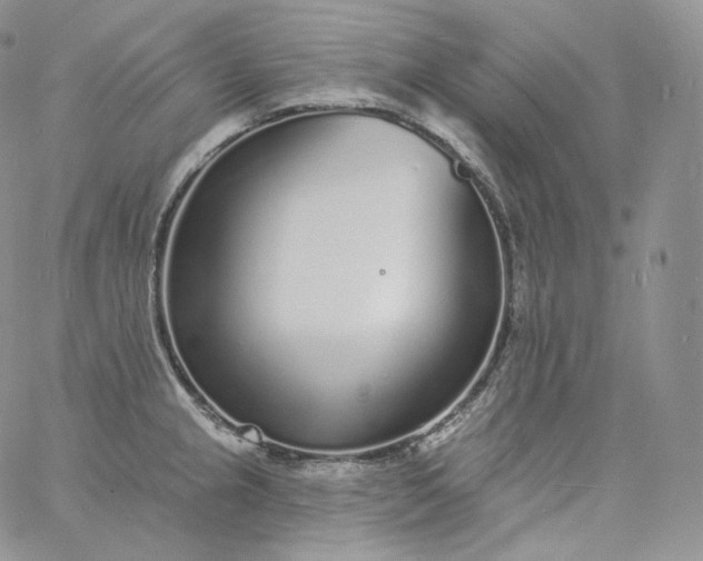 X0000060811237200511241927