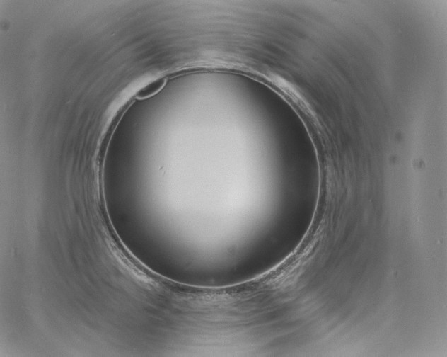 X0000060811238200511241927