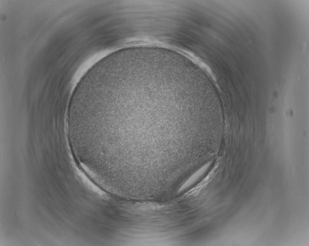 X0000060811239200511241927