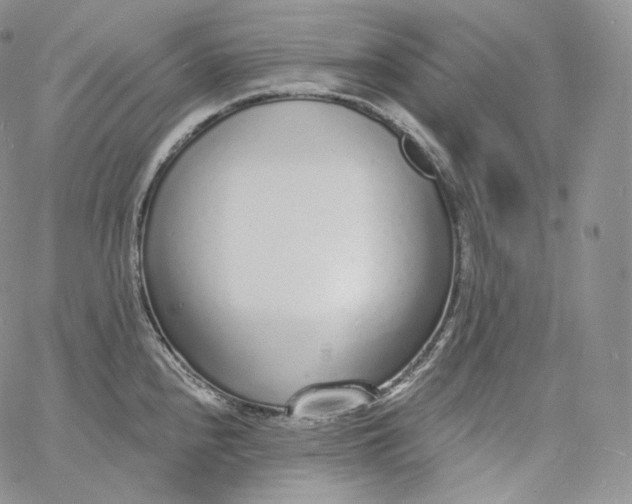 X0000060811240200511241927