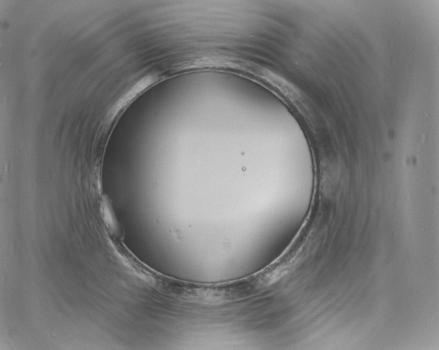 X0000060811241200511241927