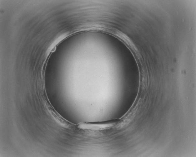 X0000060811242200511241927