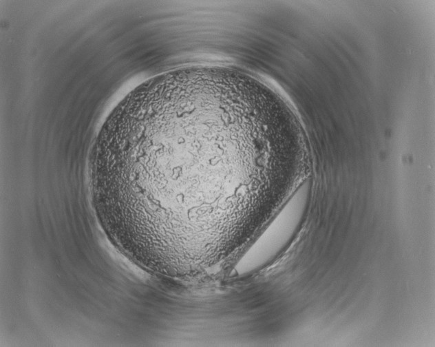 X0000060811243200511241927