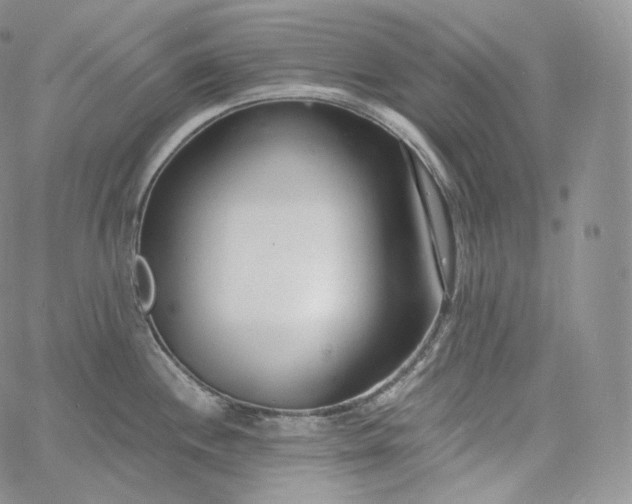 X0000060811244200511241927