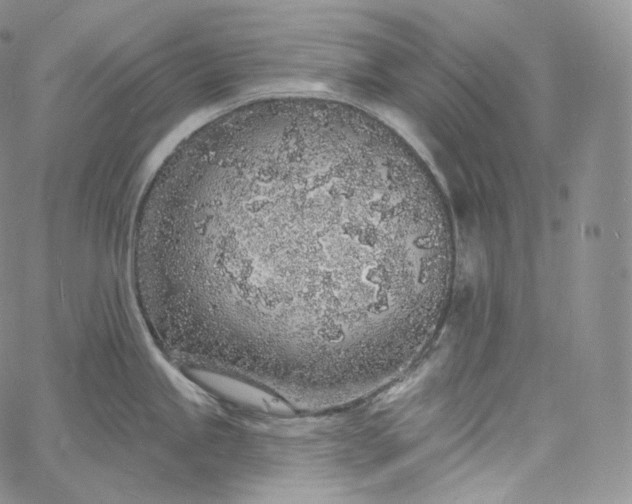 X0000060811245200511241927