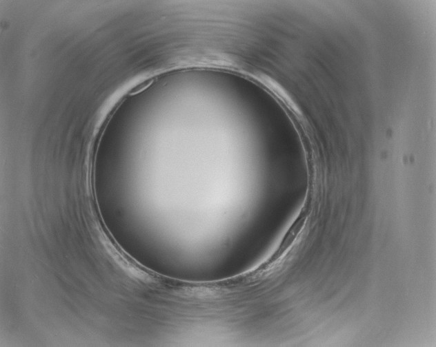 X0000060811246200511241927