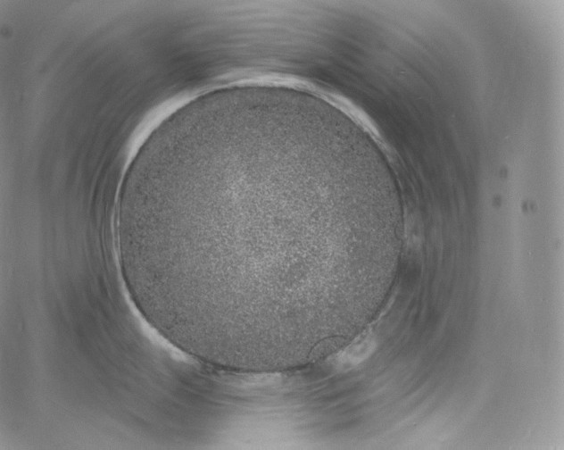 X0000060811247200511241927