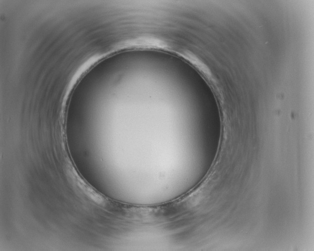 X0000060811248200511241927