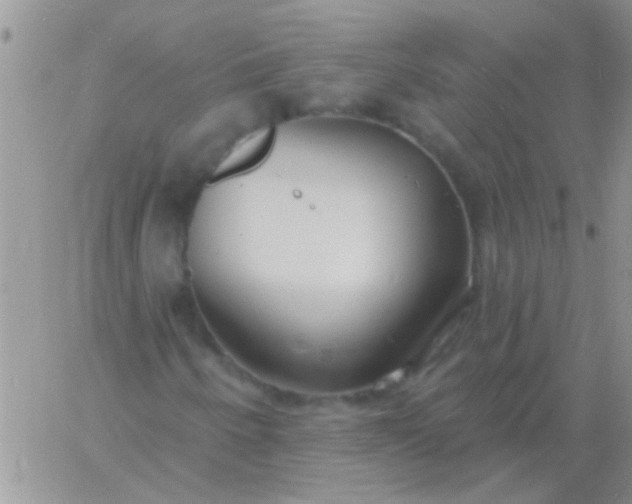 X0000060811250200511241927