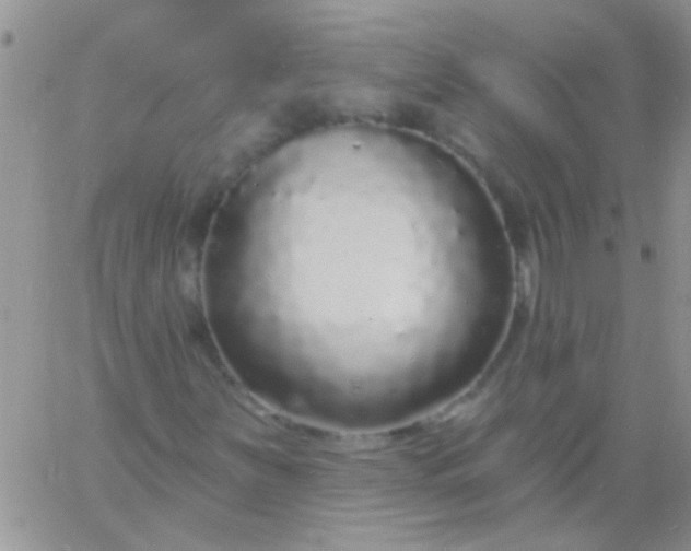 X0000060811251200511241927