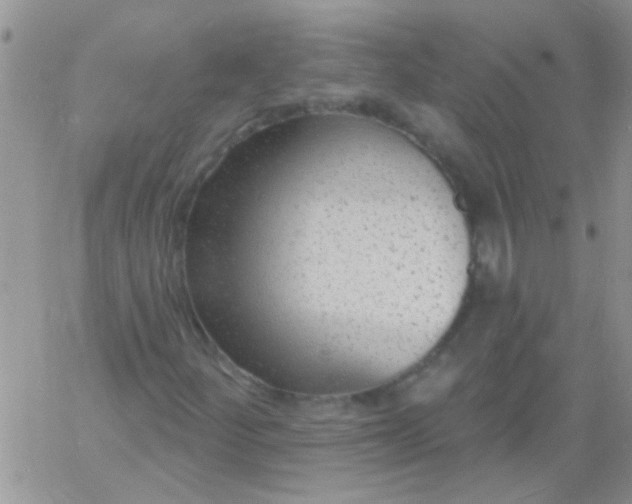 X0000060811252200511241927