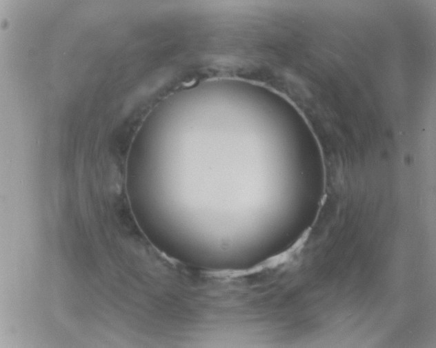 X0000060811253200511241927