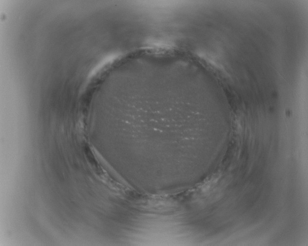 X0000060811254200511241927