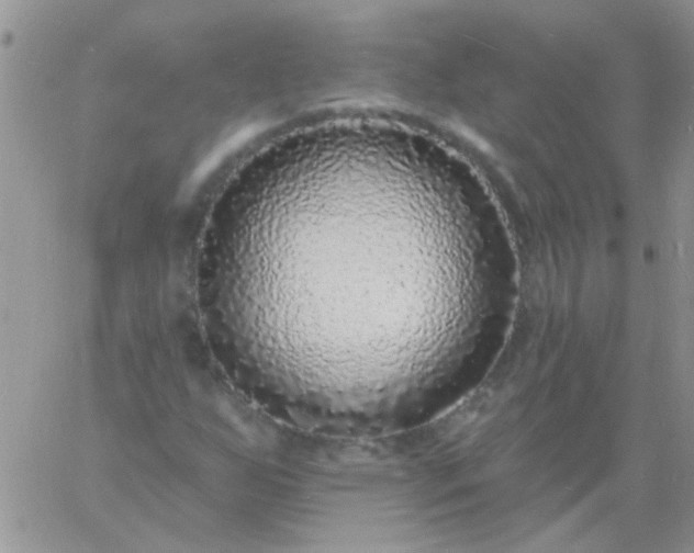 X0000060811255200511241927