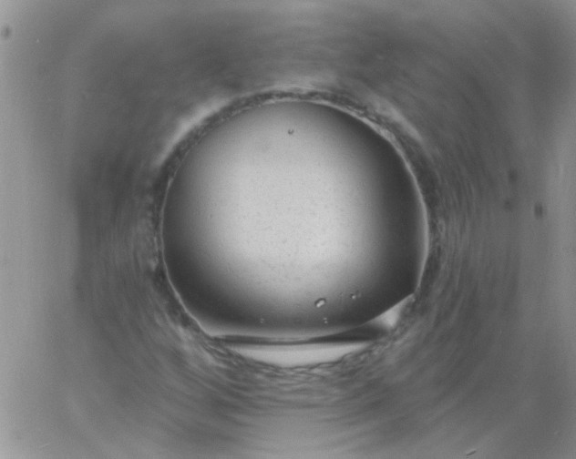 X0000060811256200511241927