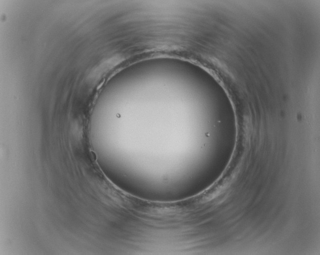 X0000060811257200511241926