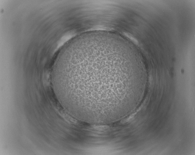 X0000060811258200511241926