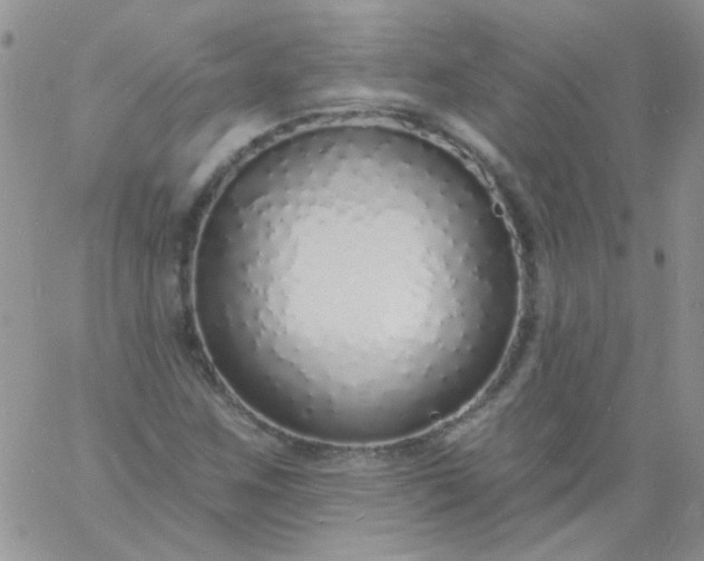 X0000060811259200511241926