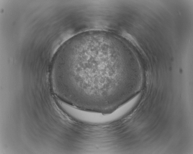 X0000060811260200511241926