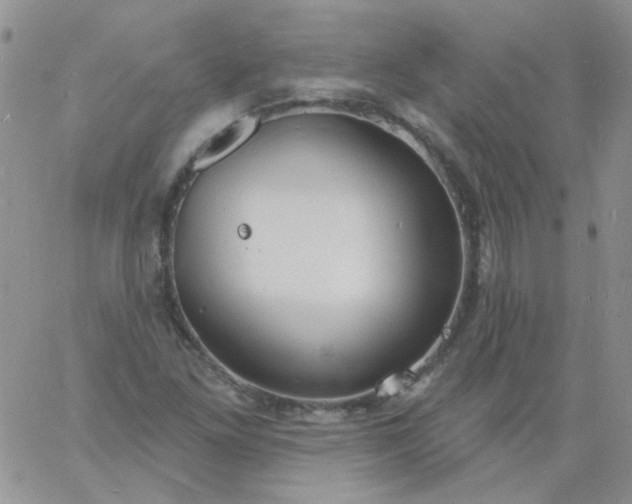 X0000060811261200511241926