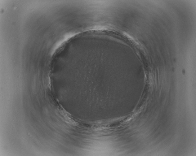 X0000060811262200511241926