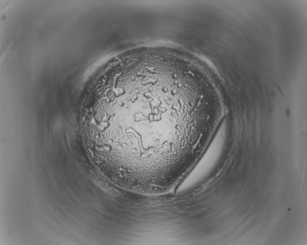 X0000060811263200511241926