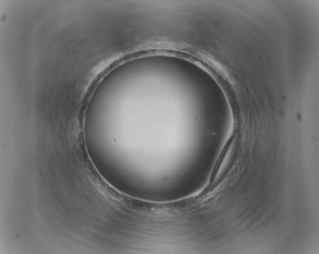 X0000060811264200511241926