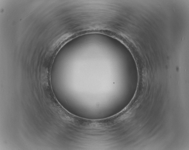 X0000060811265200511241926