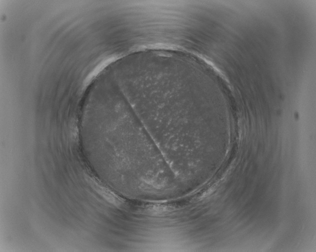 X0000060811266200511241926