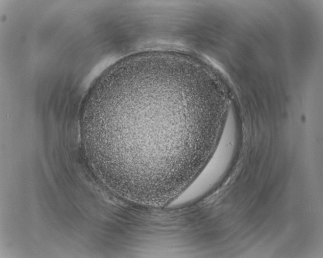 X0000060811267200511241926