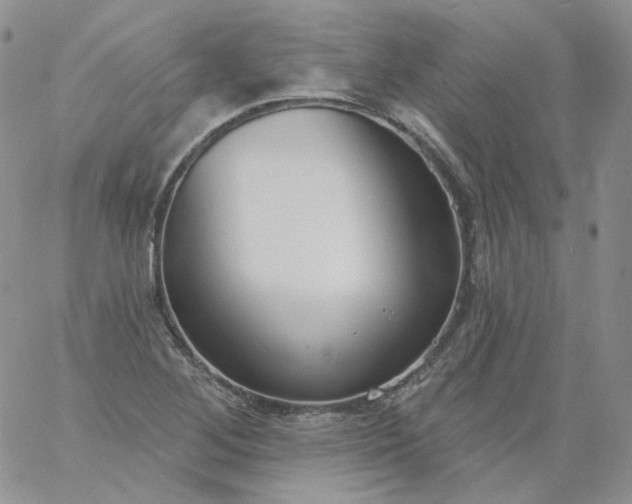 X0000060811268200511241926