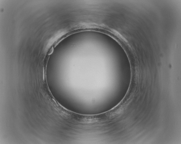 X0000060811269200511241926