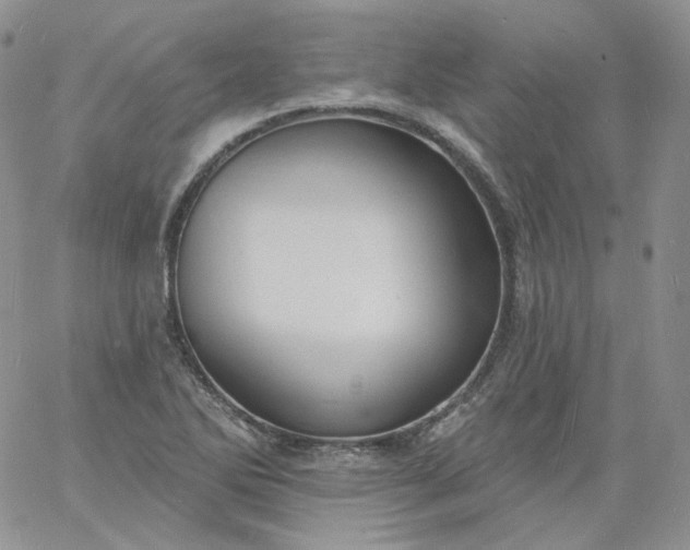 X0000060811270200511241926