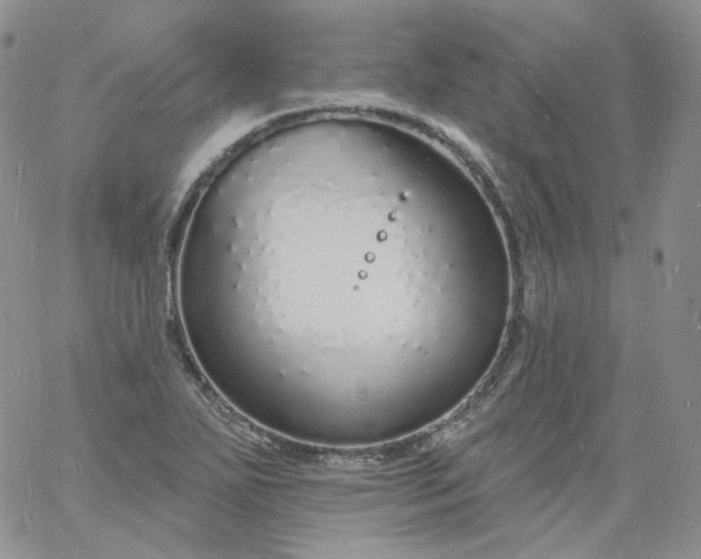 X0000060811271200511241926