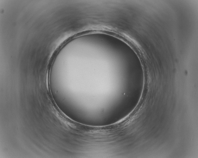 X0000060811272200511241926