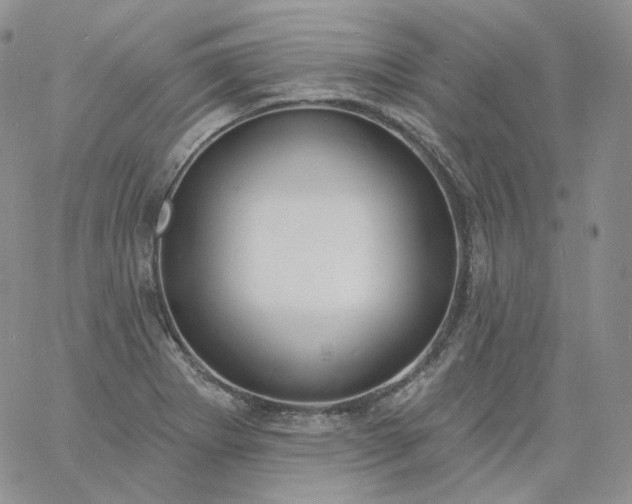 X0000060811273200511241926