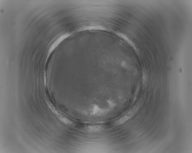 X0000060811274200511241926