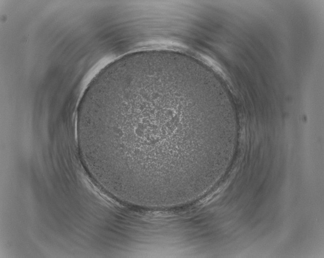 X0000060811275200511241926