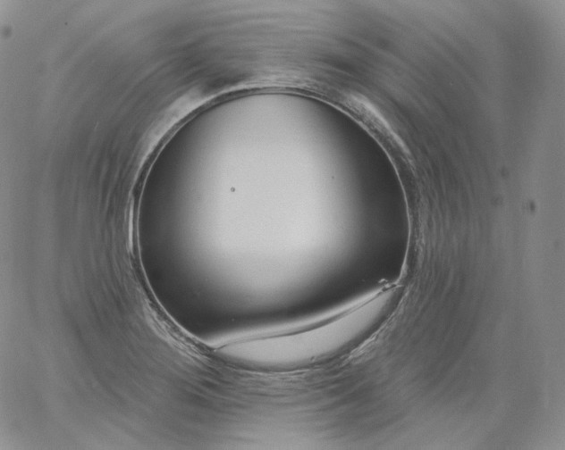 X0000060811276200511241926