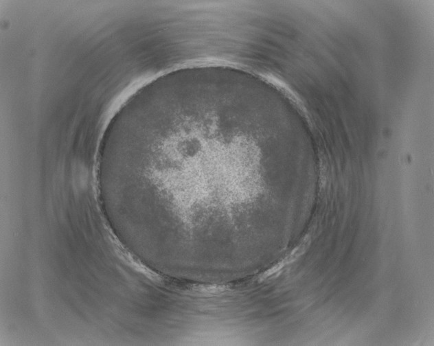 X0000060811278200511241926